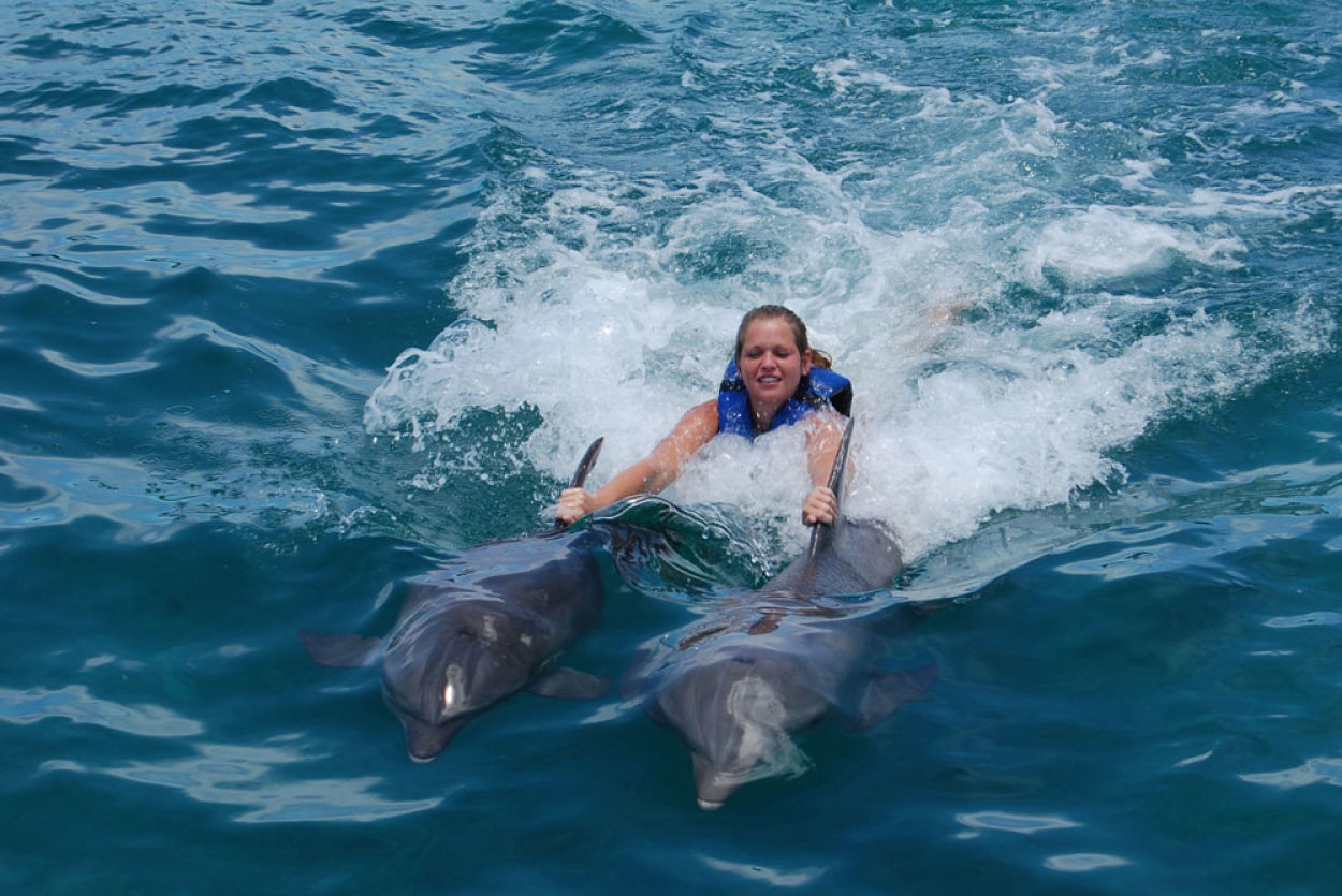 Paseo dorsal con delfines Fuente: Civitatis